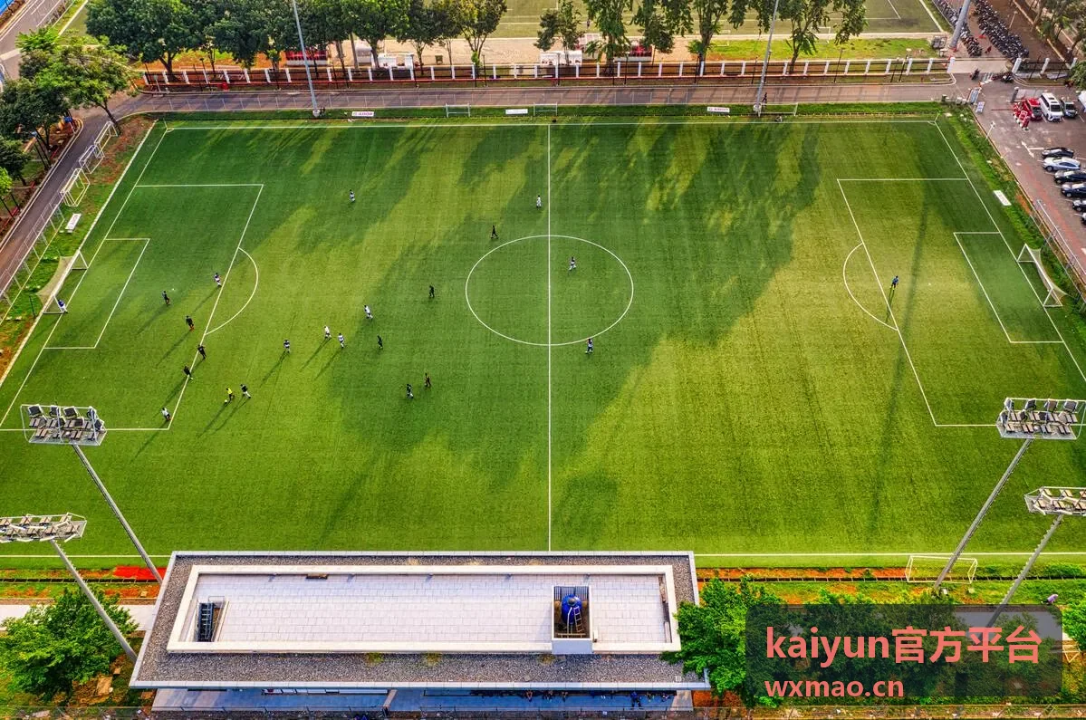 kaiyun官方平台功能模块入口示意图